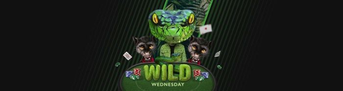 Wild Wednesdays