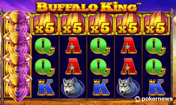 Play Buffalo King at Pulsz Casino
