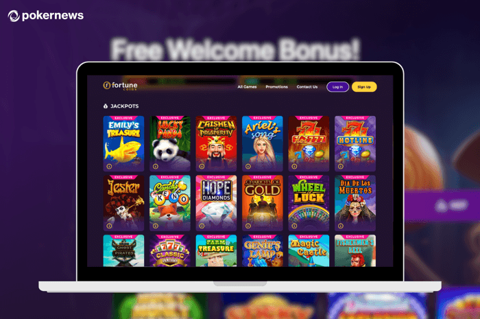 Fortune Coins Casino Slots