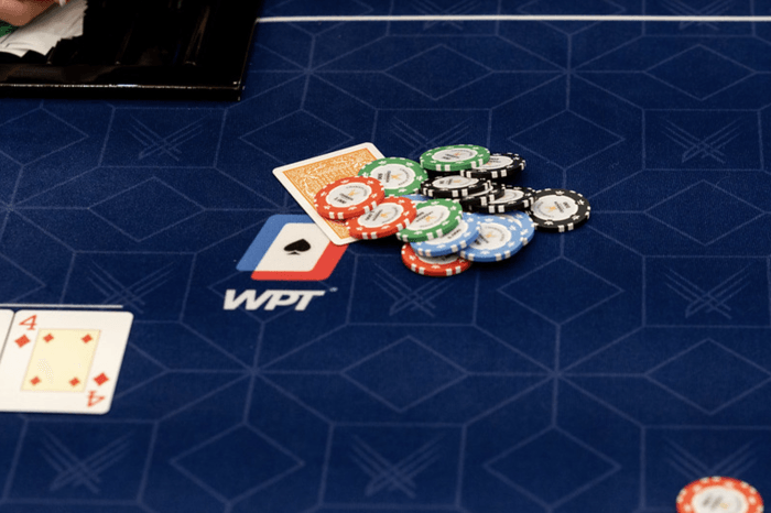 wpt chips