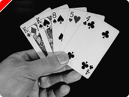 Omaha system examples image