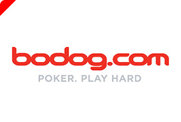 Bodog Buys Out Betcorp's Gaming Operations 0001 Bodog Buys Out Betcorp's Gaming Operations 0001