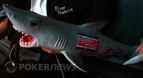 Op-Ed: Save the Sharks