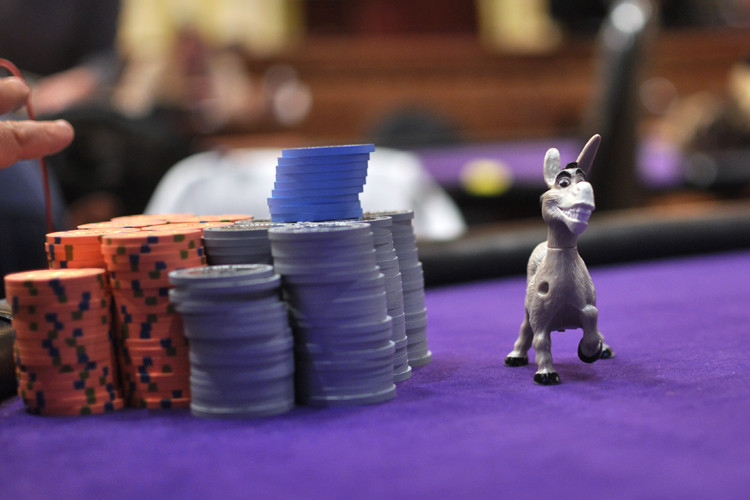 Free: Poker Face Donkey Internet Meme Blank Expression - Poker