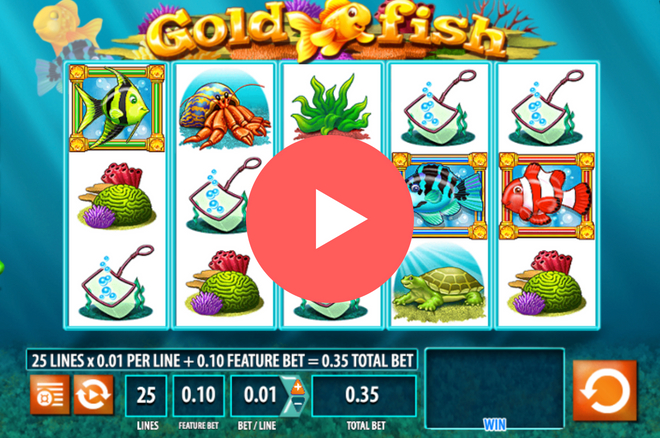 yukon gold casino canada login Slot Machine