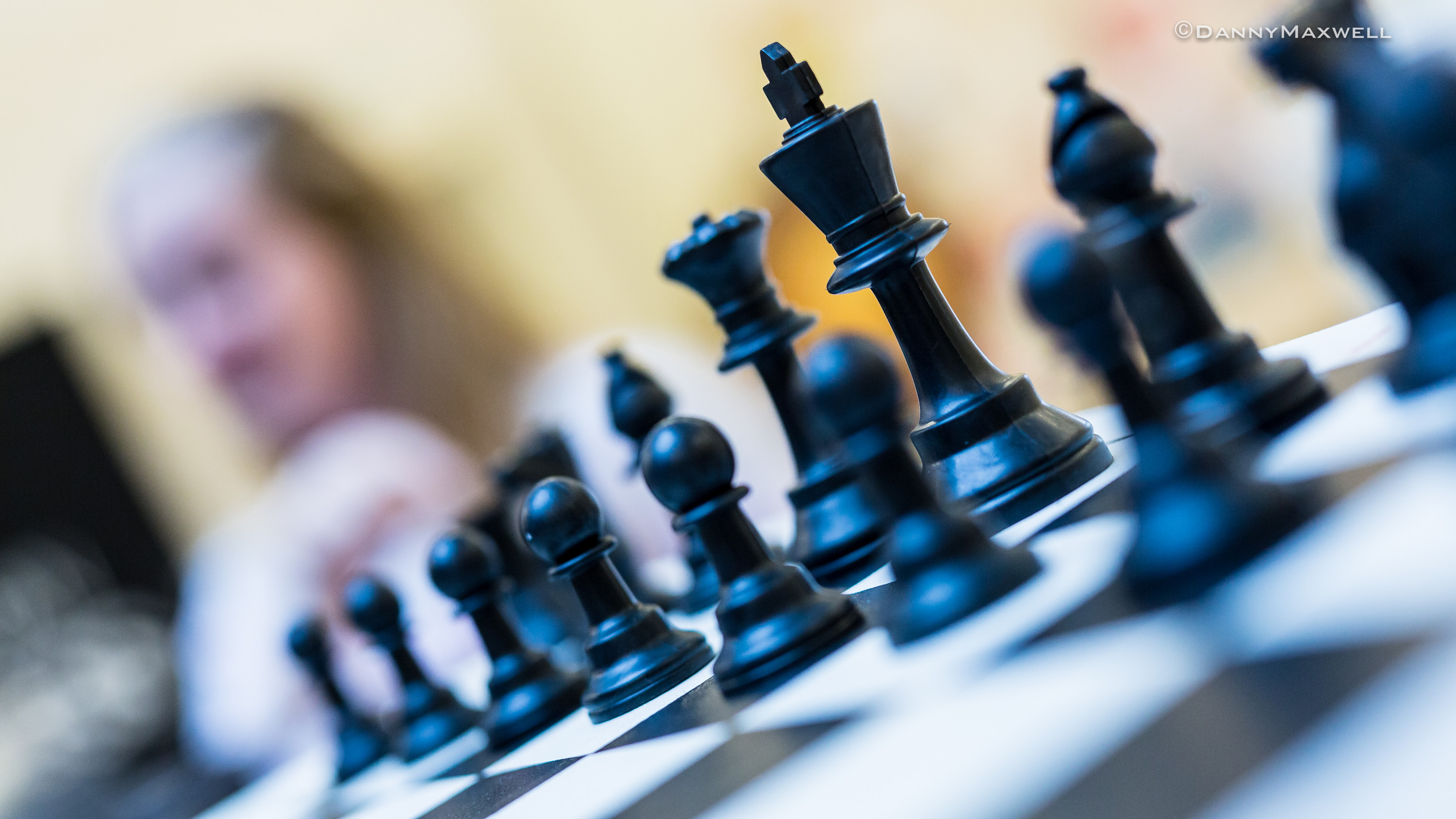 Chess and Poker The Queen's Gambit Jennifer Shahade