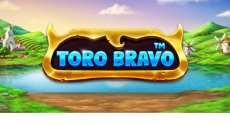 Toro Bravo