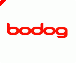 Bodog Announces Billionth-Hand Celebration, Graphics Upgrade