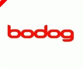 Bodog Poker  - Promozione WSOP