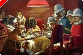Pitbull Poker : Attention, chien méchant