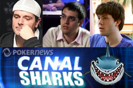 Résultats poker online : les sharks Français pètent le feu
