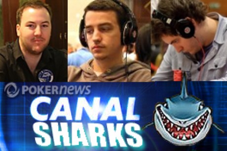 Résultats poker online : les sharks français sur leur lancée