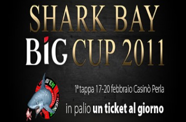 Qualificati Gratis per la Shark Bay BIG Cup su BIGpoker.it