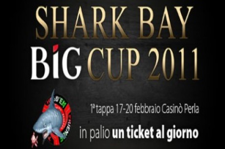 Shark Bay BIG Cup 2011: qualificati online fino a domenica!