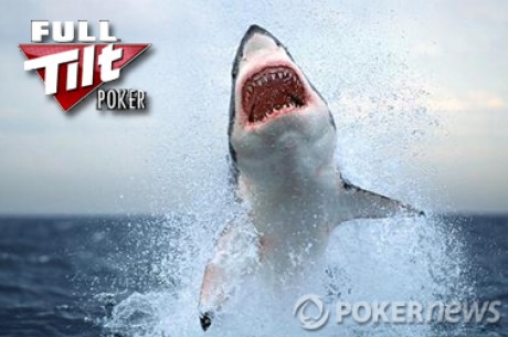 Résultats poker online : 'asforr' mate les sharks du 1K Monday