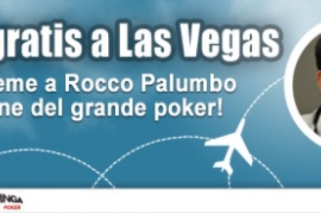 Vola a Las Vegas con Winga!