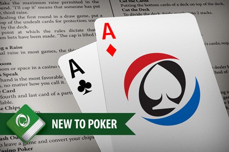 Explaining beginner poker terms including what betting, checking, raising and folding means in a game of poker