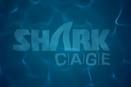 Shark Cage: Faraz Jaka, Phil Ivey ou o "Senhor dos Anéis", Quem Vencerá?