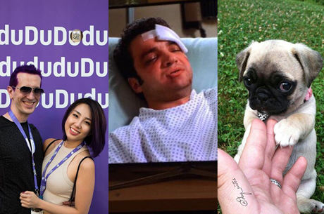 Tweet, Tweet, Bad Beat: Pet Therapy, Doppelgängers and Twitchin'