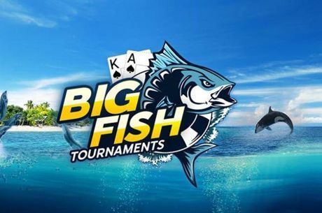 Win a Share of $100,000 Every Day in the Daily Big Fish Series at 888poker