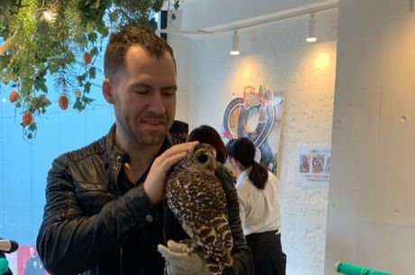 Daniel "JungleMan" Cates Visits Tokyo & Roasts Dan Bilzerian