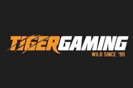 Tiger gaming