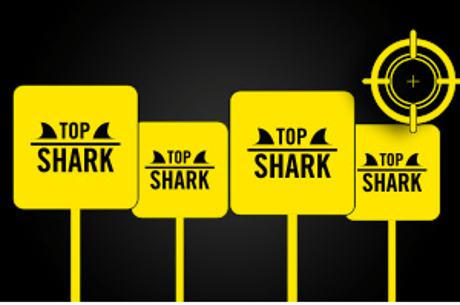 Top Shark Academy: Serez-Vous le Prochain à Entrer chez Winamax?