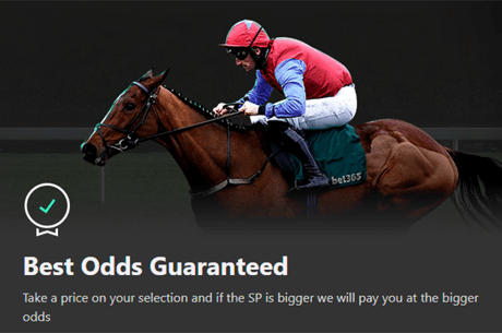 Here is Why Bet365 Should Be Your First Choice for Horse Racing Betting
