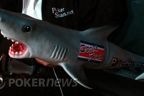 PokerNews Op-Ed: Save the Sharks