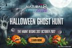 Natural8 Halloween Ghost Hunt