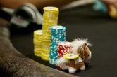 Poker : Quand vos superstitions vous coûtent de l'argent