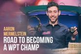 Aaron Mermelstein Battles Whirlwind of Adversity En Route To Becoming a WPT Champ