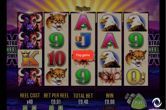 Buffalo Slots: Free Buffalo Slot Machine by Aristocrat