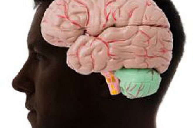 The Poker Shrink, Volume Seven ¨C What is Poker Psychology, Part One 0001 The Poker Shrink, Volume Seven ¨C What is Poker Psychology, Part One 0001