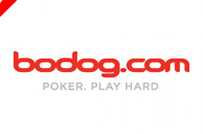 Bodog Poker Schriftzug Bodog Poker Schriftzug