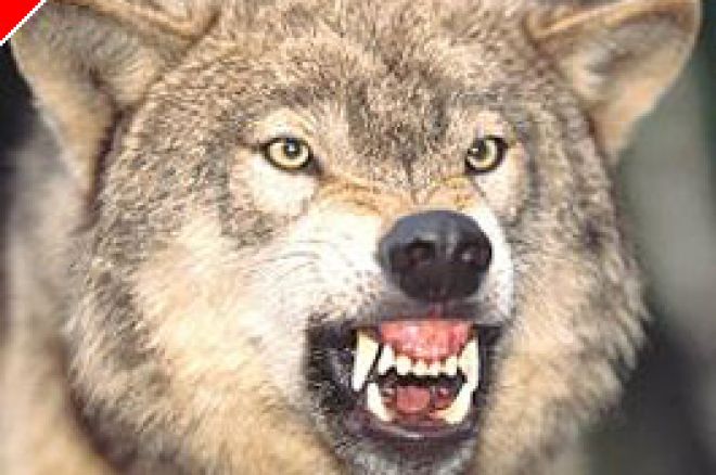 Who's Afraid of the Big Bad de Wolfe? 0001 Who's Afraid of the Big Bad de Wolfe? 0001