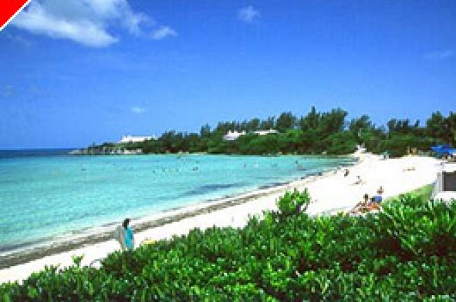 Ny Boss i Paradis 0001 Ny Boss i Paradis 0001