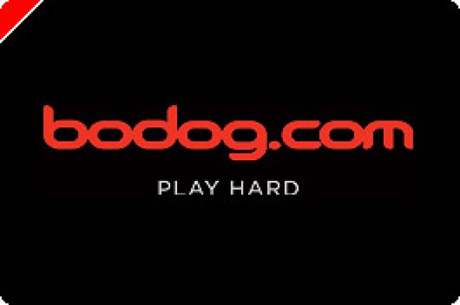 Bodog Poker Zufallszahlengenerator erhält Zertifizierung für England 0001 Bodog Poker Zufallszahlengenerator erhält Zertifizierung für England 0001