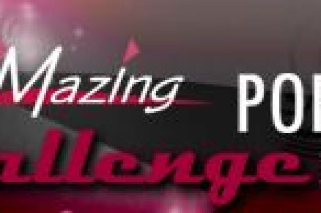 AniMazing Poker Challenge 2008 0001 AniMazing Poker Challenge 2008 0001