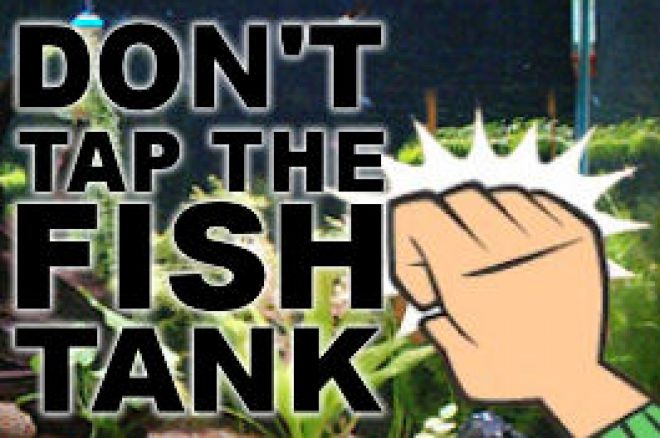 Don't tap the fishtank! 0001 Don't tap the fishtank! 0001