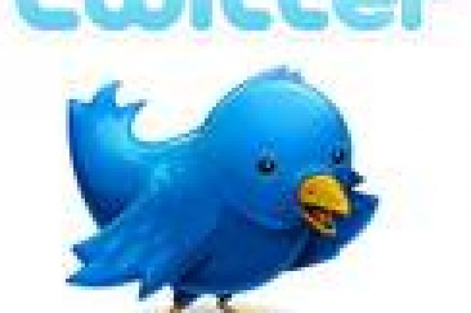 Tweet Tweet