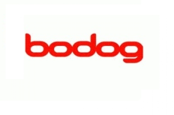 Bodog sponser ny stjerne 0001 Bodog sponser ny stjerne 0001