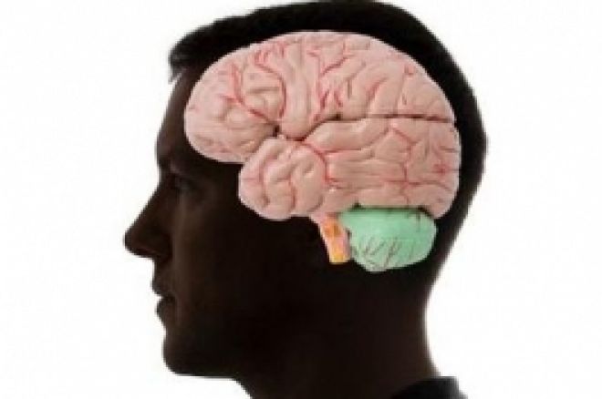 psychologia psychologia