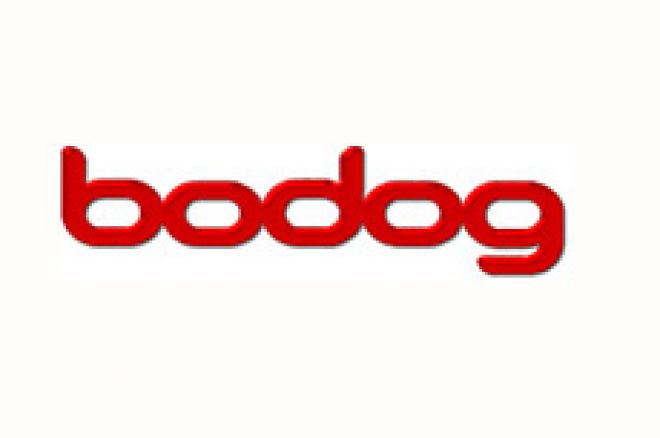 PokerNews $500 Freeroll on Bodog 0001 PokerNews $500 Freeroll on Bodog 0001
