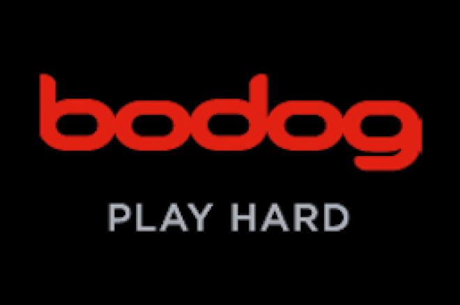 bodog poker bodog poker