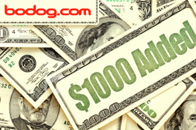 Bodog Bodog