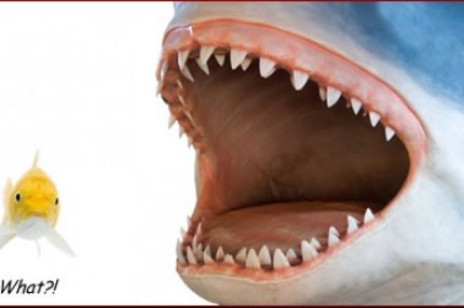 Jak obrat fishku 0001 Jak obrat fishku 0001