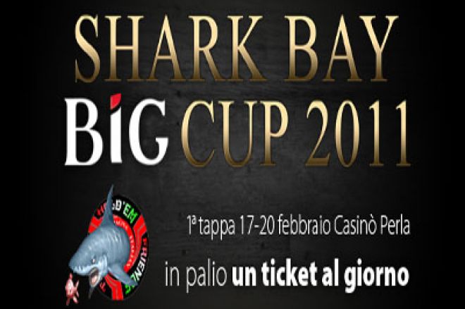 shark bay cup 2011
