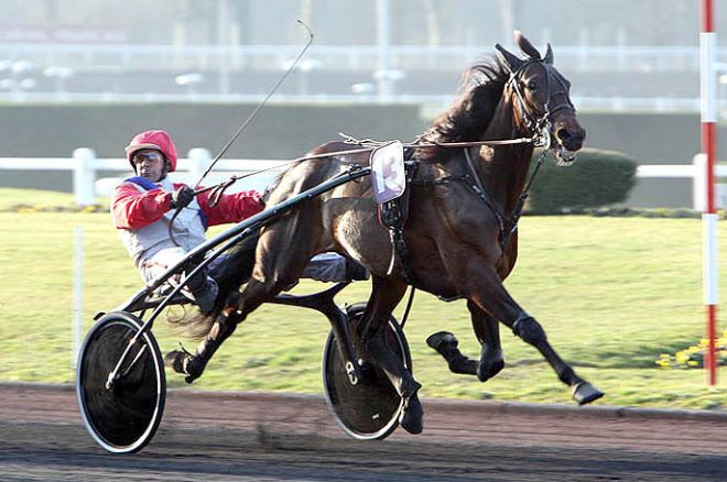 parier sur les courses
