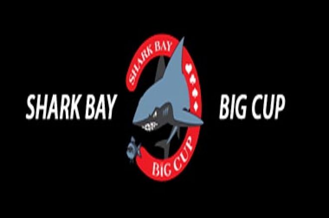 shark bay big cup